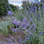 Le Jardin Des Fagnes Σπίτι διακοπών