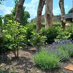 Le Jardin Des Fagnes *