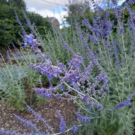 Le Jardin Des Fagnes Hébergement de vacances