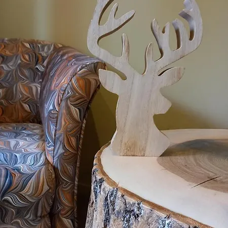 Le Jardin Des Fagnes 펜션