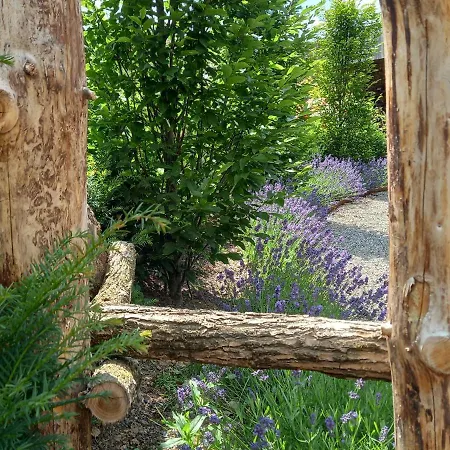 Le Jardin Des Fagnes * Robertville