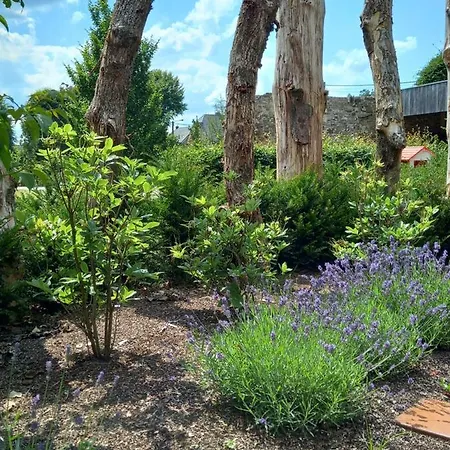 Le Jardin Des Fagnes *